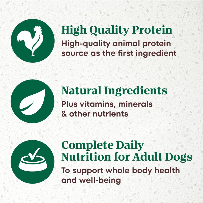 Nutro Ultra Wet Dog Food Grain Free Filets in Gravy Beef & Deluxe Chicken Variety Pack, 3.5 oz. Trays (12 Count, Pack of 1) - Image 4